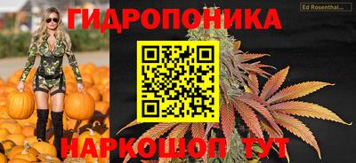 стаф Бузулук