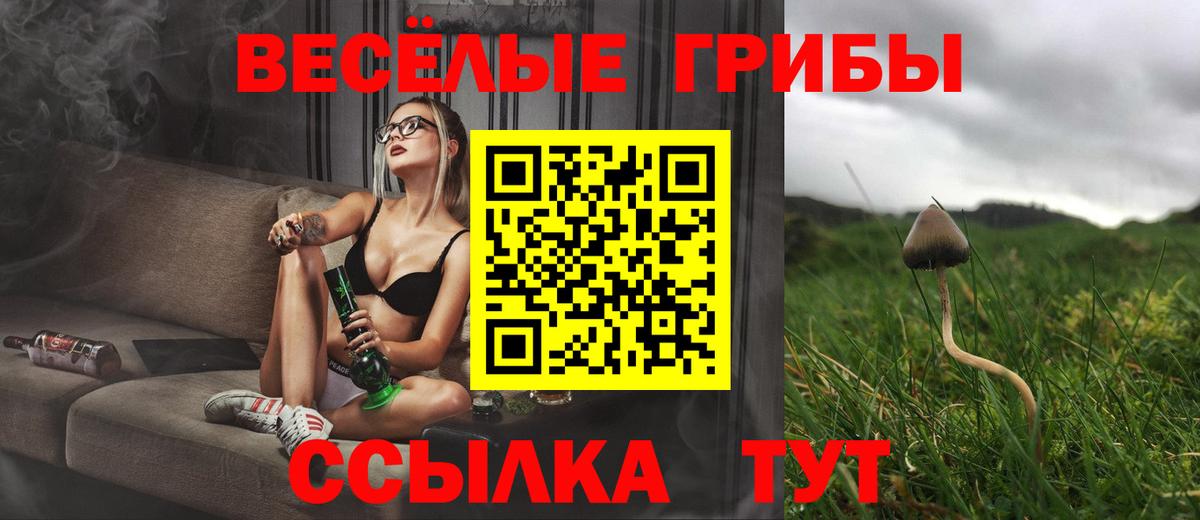 Подольск  Псилоцибиновые грибы ЛСД  Галлюциногенные грибы GOLDEN TEACHER  Вход с VPN 
