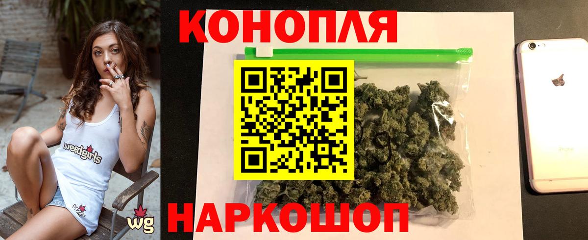 Канабис сатива Подольск